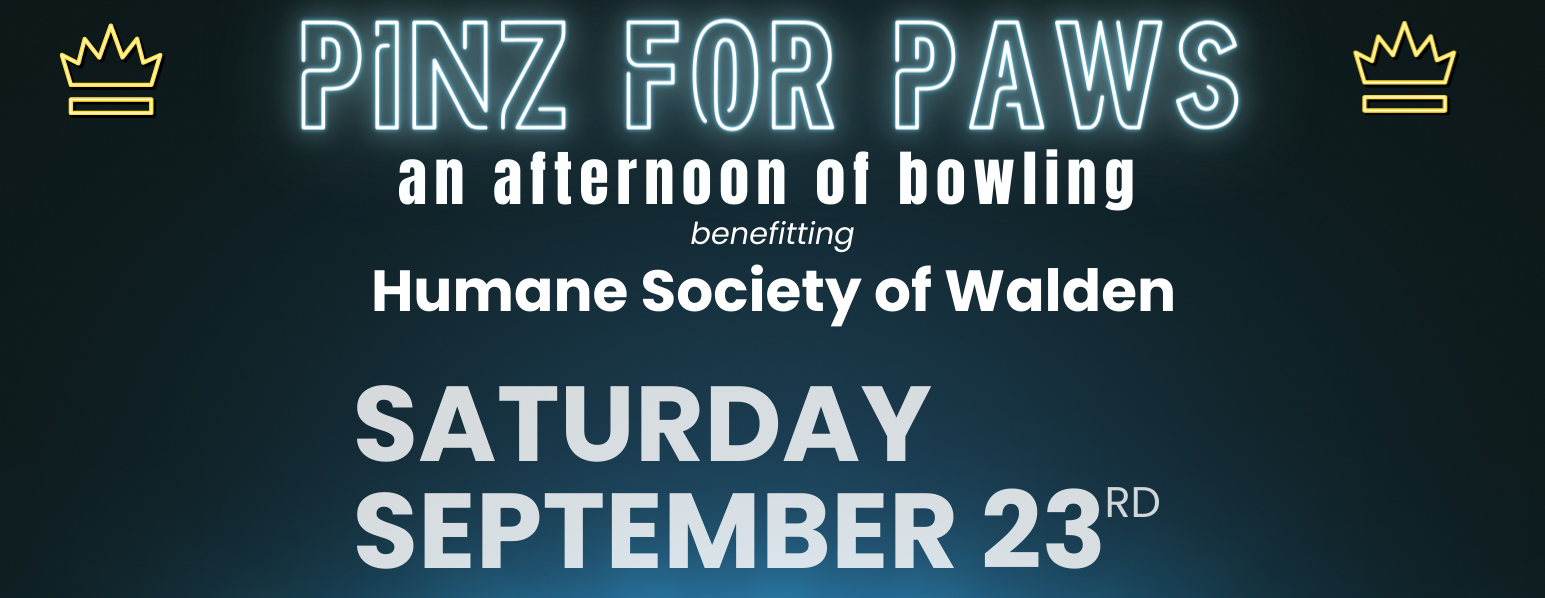 Pins for Paws: An Afternoon of Bowling